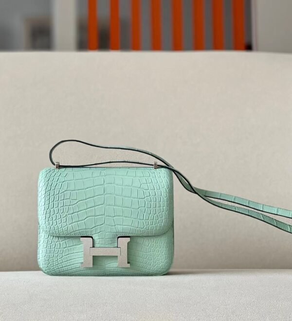 Hermes Constance Matte Alligator crocodile 6U Mint green Silver Hardware 18cm Full Handmade