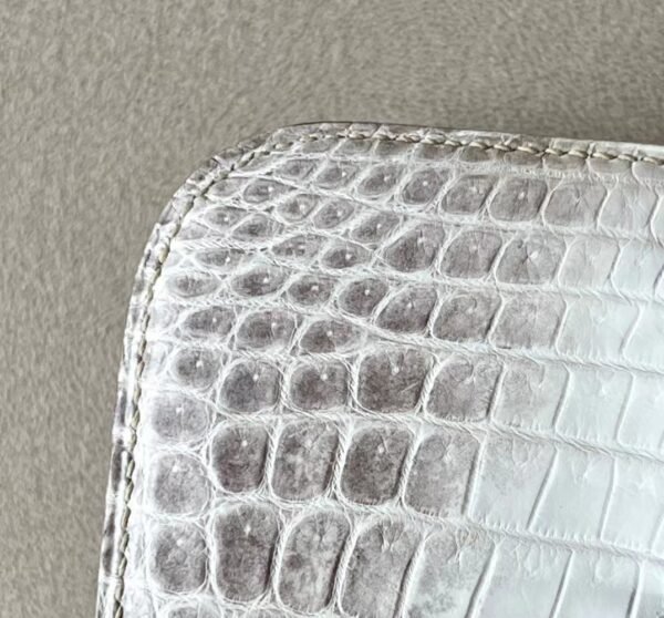 Hermès Constance Matte Niloticus crocodile 01 Himalaya Silver Hardware 18cm Full Handmade