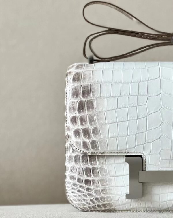 Hermès Constance Matte Niloticus crocodile 01 Himalaya Silver Hardware 18cm Full Handmade