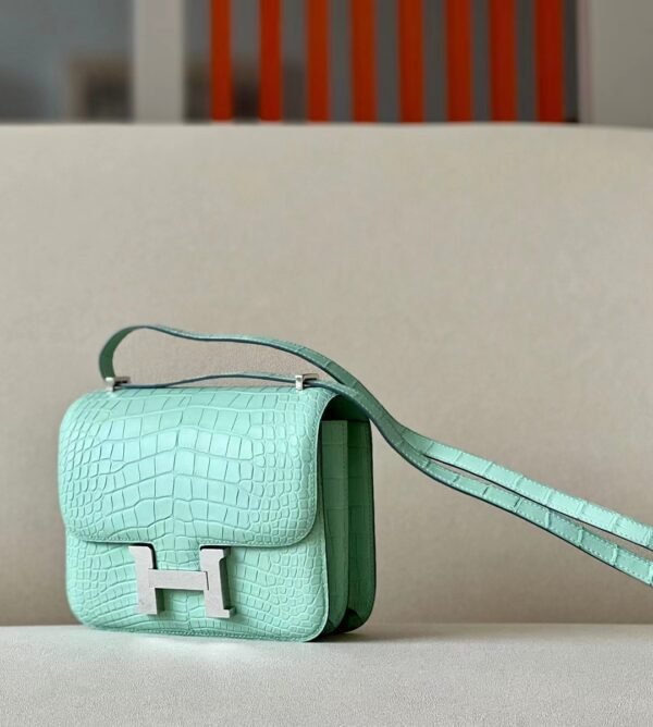 Hermes Constance Matte Alligator crocodile 6U Mint green Silver Hardware 18cm Full Handmade