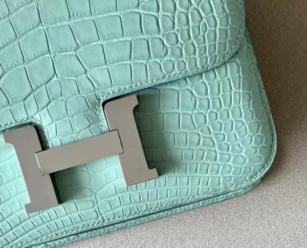 Hermes Constance Matte Alligator crocodile 6U Mint green Silver Hardware 18cm Full Handmade