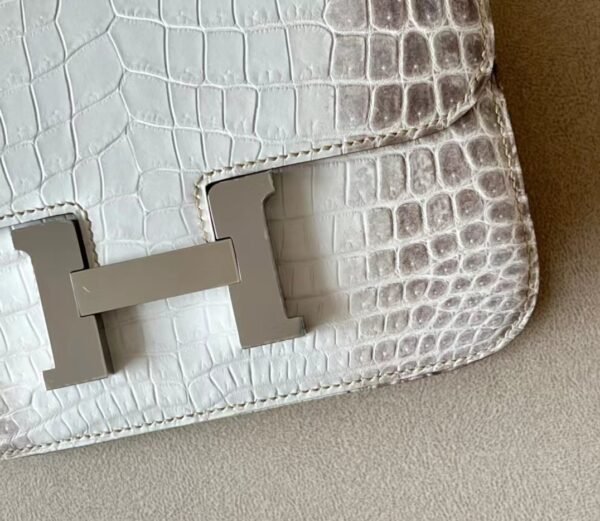 Hermès Constance Matte Niloticus crocodile 01 Himalaya Silver Hardware 18cm Full Handmade