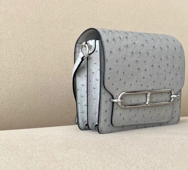 Hermes Roulis Ostrich 8U Ice Blue Silver Hardware 19cm Full Handmade