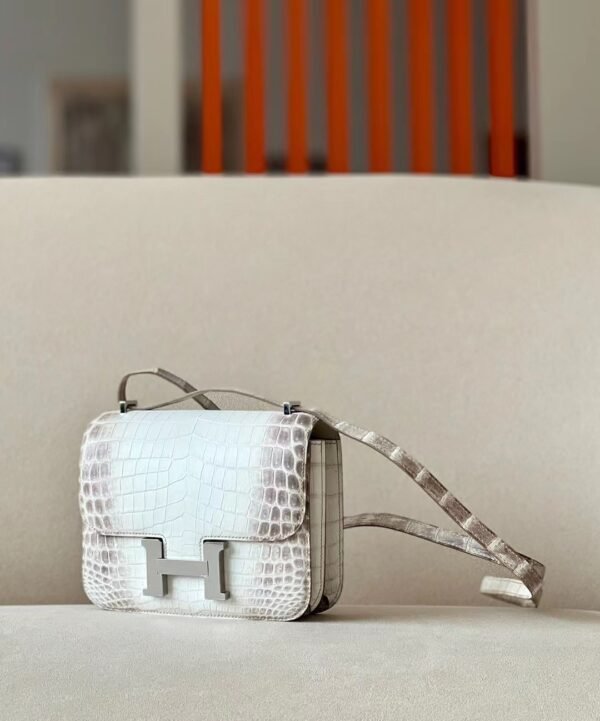 Hermès Constance Matte Niloticus crocodile 01 Himalaya Silver Hardware 18cm Full Handmade