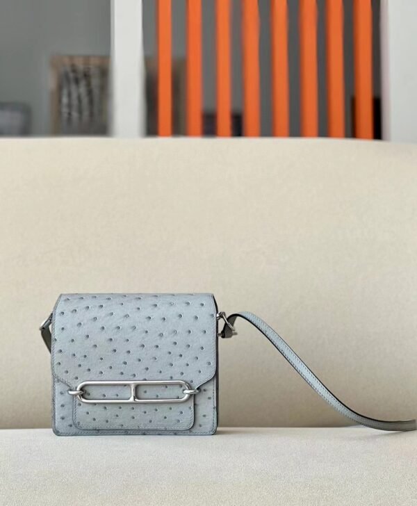 Hermes Roulis Ostrich 8U Ice Blue Silver Hardware 19cm Full Handmade