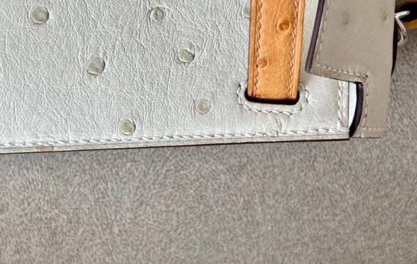 f5700047cee77fe Hermes Mini Kelly Ostrich 8L Ice White & 22 Desert color Silver Hardware 19cm Full Handmade