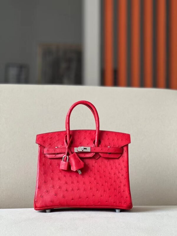 Hermes Birkin Ostrich 95 Ferrari red Silver Hardware 25cm Full Handmade