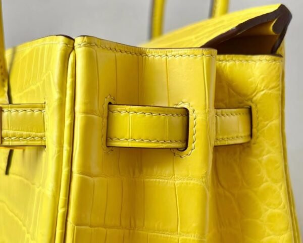 Hermes Birkin Matte Niloticus crocodile M9 calendula Yellow Gold Hardware 25cm Full Handmade