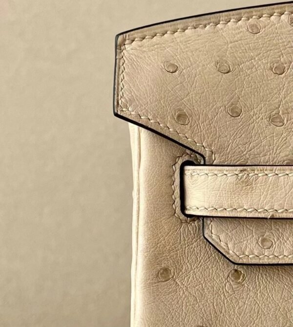 Hermes Birkin Ostrich S2 Light khaki Gold Hardware 25cm Full Handmade