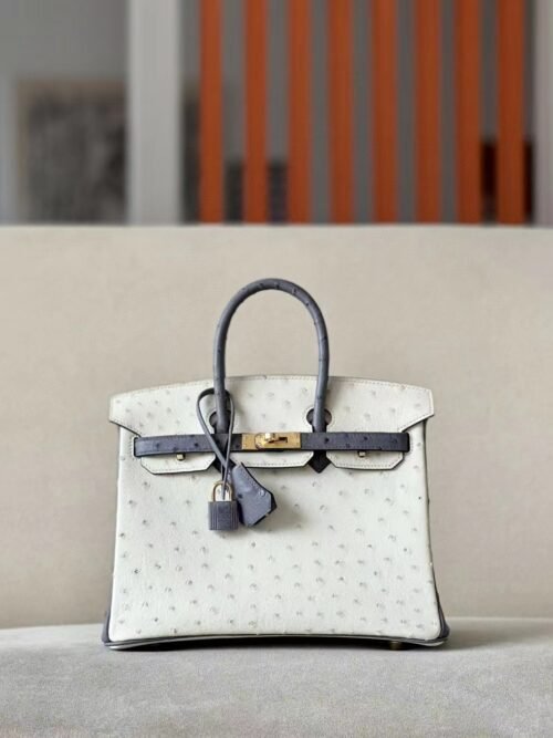 Hermes Birkin Ostrich 8L Ice White & 82 Agate grey Gold Hardware 25cm Full Handmade