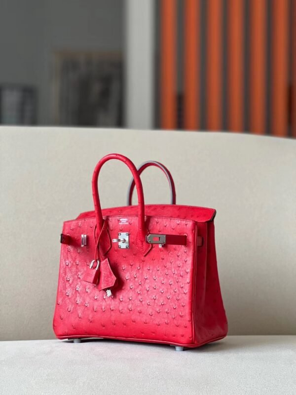 Hermes Birkin Ostrich 95 Ferrari red Silver Hardware 25cm Full Handmade