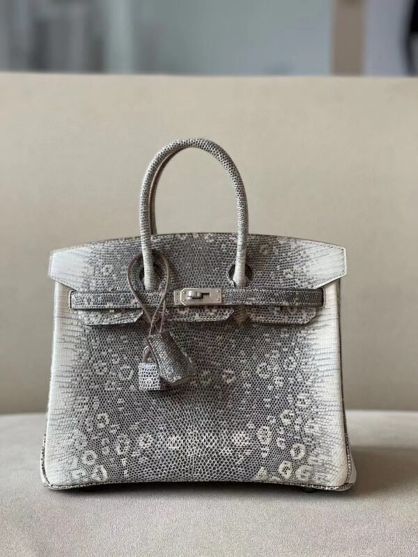Hermes Birkin Lizard 01 Primary color Silver Hardware 25cm Full Handmade