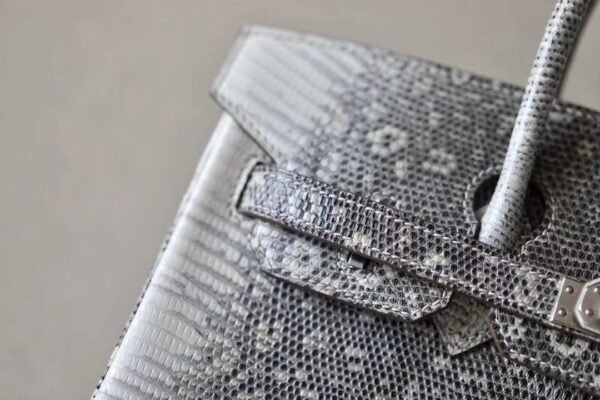 Hermes Birkin Lizard 01 Primary color Silver Hardware 25cm Full Handmade