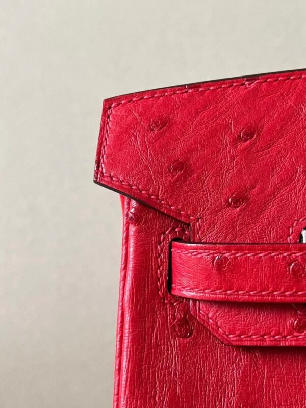 Hermes Birkin Ostrich 95 Ferrari red Silver Hardware 25cm Full Handmade