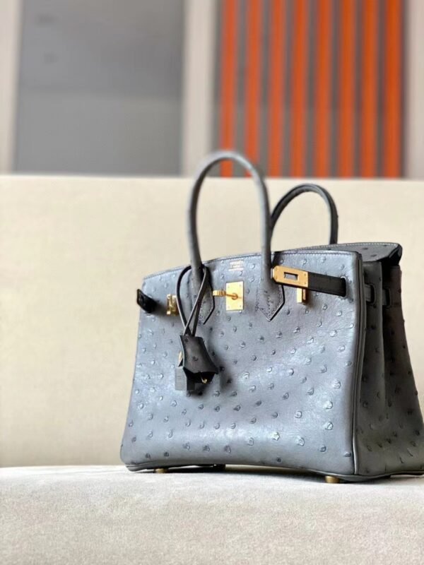 Hermes Birkin Ostrich 8F Etain Grey Gold Hardware 25cm Full Handmade