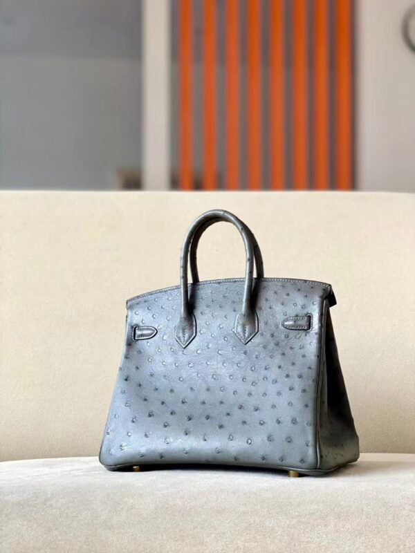 Hermes Birkin Ostrich 8F Etain Grey Gold Hardware 25cm Full Handmade