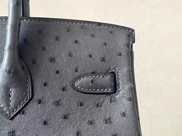 Hermes Birkin Ostrich 8F Etain Grey Gold Hardware 25cm Full Handmade